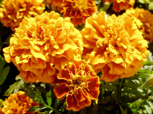 429980 (a): :1600x1200